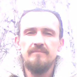 ����, ���������, 56 ���