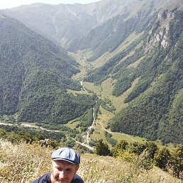 , 58, 