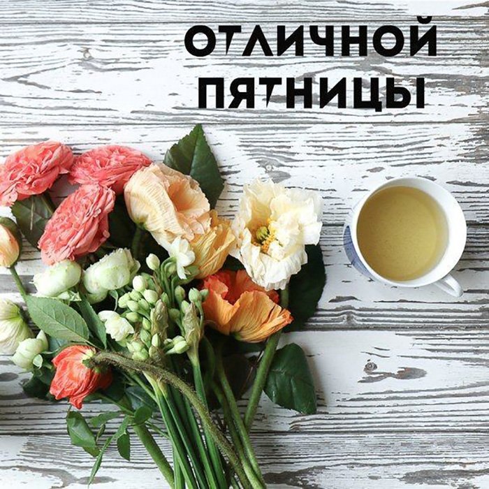 ***Victoria Viktorovna*** - 21  2022  05:14
