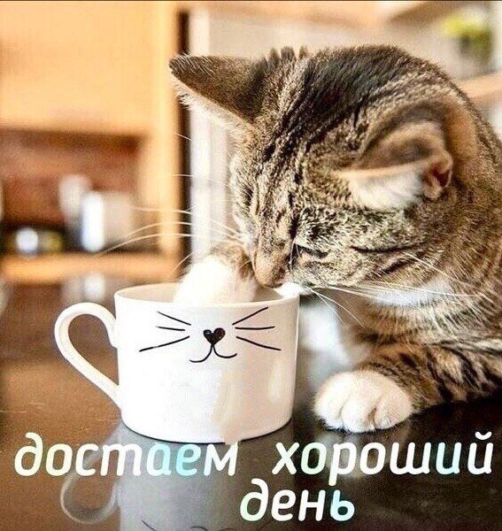  - 17  2022  06:43