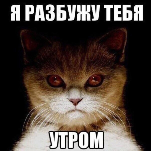    - 13  2022  12:33