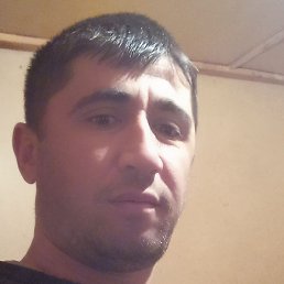 ��������, ������ ��������, 37 ���