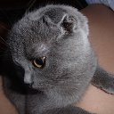 ���� �����, �������� - ��������� 30 ����� 2022 � ������ ������ ��������