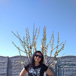 �������, �����������, 50 ���