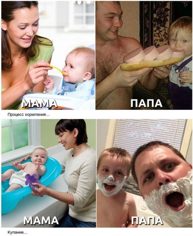   :  ,      ,  ,   ... - 6