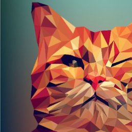 ���������, ������, 51 ���