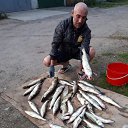 ���� �������, �����-���������, 50 ��� - ��������� 4 ������ 2023