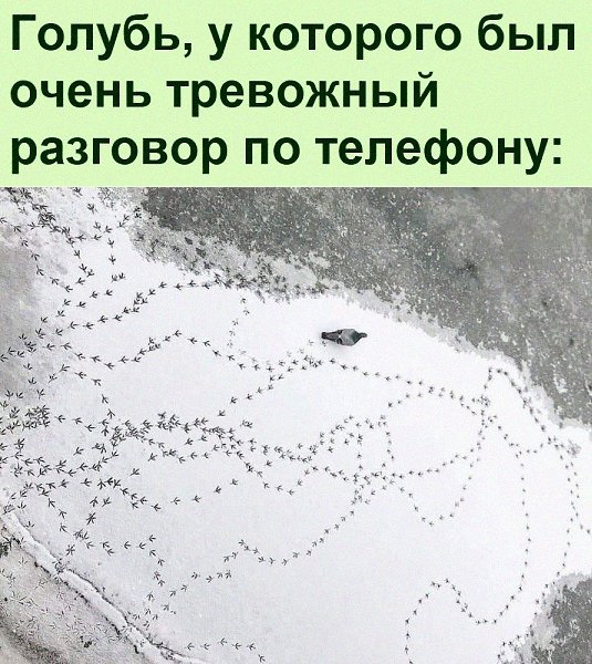   :D - 6  2022  11:37