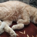 ���� ������, ������ - ��������� 17 ������� 2022 � ������ ���� ����������