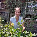 ���� ���, ������-��-���, 61 ��� - ��������� 14 ������ 2022 � ������ ���� ����������