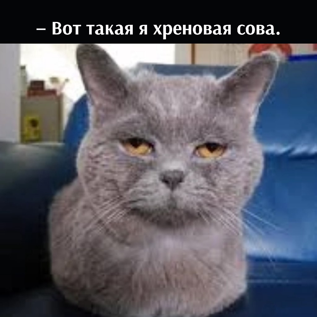       - 17  2022  10:12 - 4