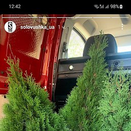 , , 30 