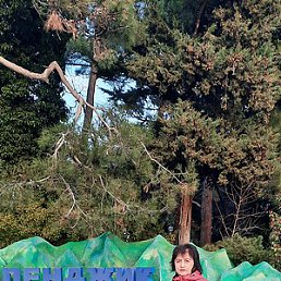 ������, ����, 60 ���