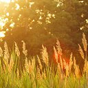 ���� �����, ������������, 45 ��� - ��������� 5 ������� 2022