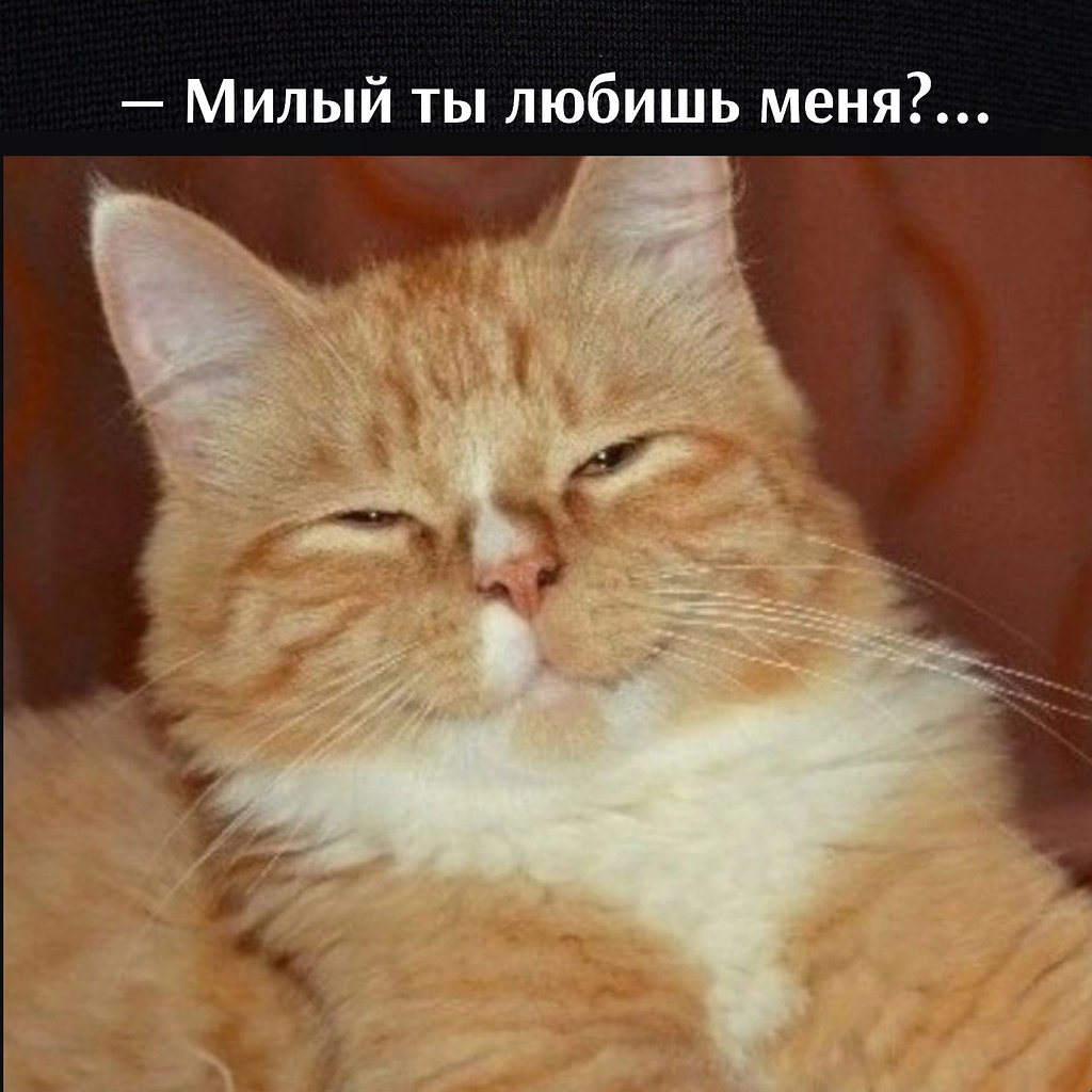       - 1  2023  11:24