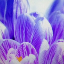 ����, ������, 45 ���