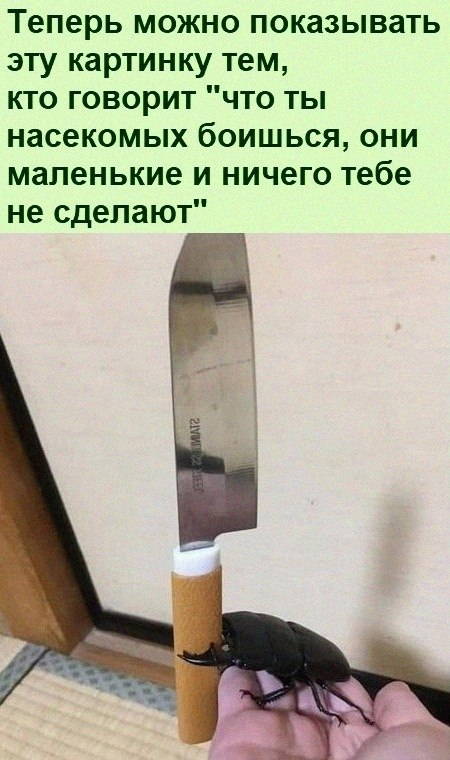   :D - 18  2022  06:19