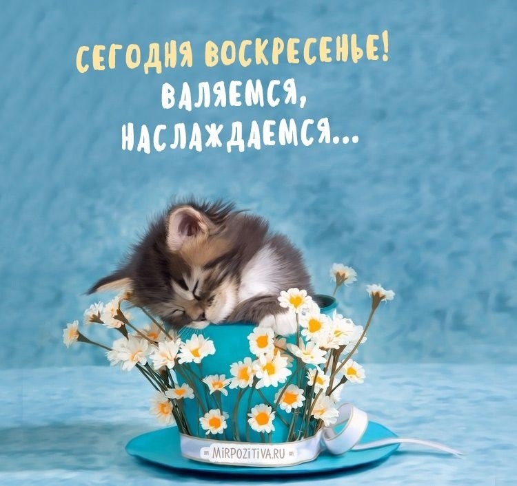 ***Victoria Viktorovna*** - 22  2023  06:21 - 4