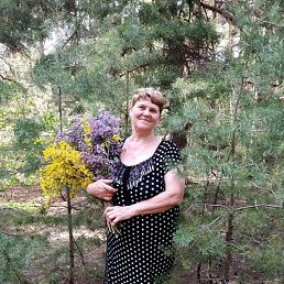 ����, ���������, 70 ���