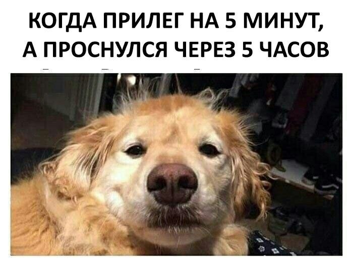    - 3  2023  08:40