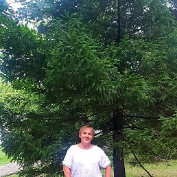 �������, ���������, 52 ����