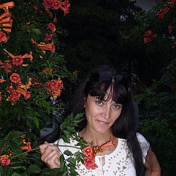 ������, ����, 43 ����