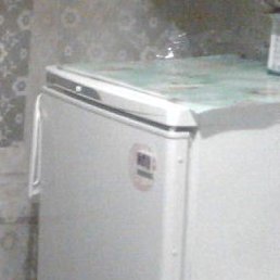 �����, �������, 43 ����