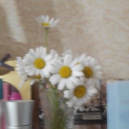 ������, ���������, 47 ���