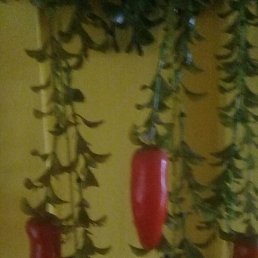 Luiz, ��������, 36 ���