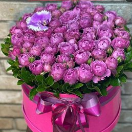 ���� ����, ���������, 35 ��� - ��������� 16 ������� 2023