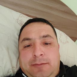 , 40, 