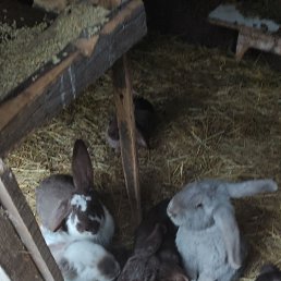 ���� ������, ������, 44 ���� - ��������� 22 ������ 2023