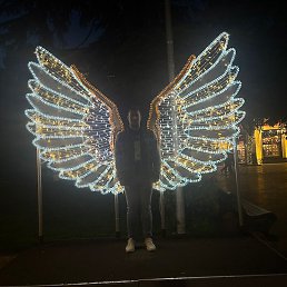 �����, ������, 38 ���