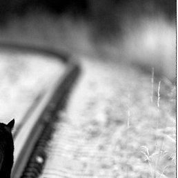 ������ Kz ., ������, 27 ���