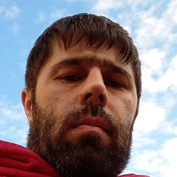 ������, ������, 37 ���