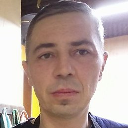 ,  , 46 