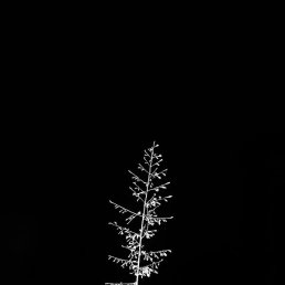 Kklm, ����, 34 ����