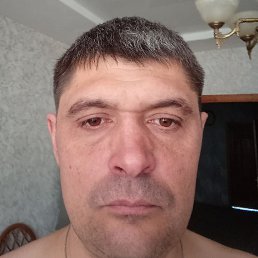 ���������, ���������, 41 ���