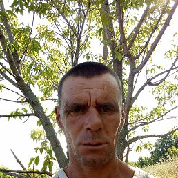 ���������, ������, 44 ����