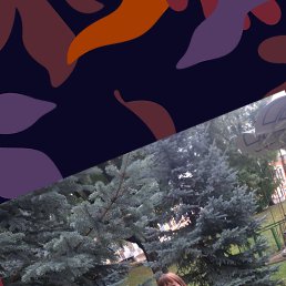 ���� ��������, �����, 62 ���� - ��������� 7 ������� 2023