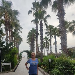 ���� ��������, ���������, 62 ���� - ��������� 14 ����� 2023