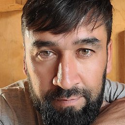 ������, ������, 40 ���