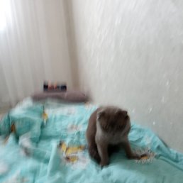 ������, ����, 59 ���