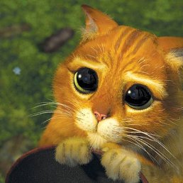 �������, ���������, 54 ����