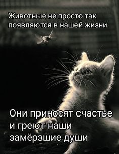   - 28  2023  10:03