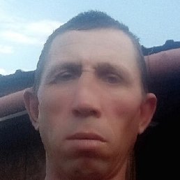 ������., �����������, 43 ����