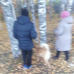 �������, ������, 67 ���