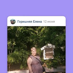 �����, ���������, 61 ���