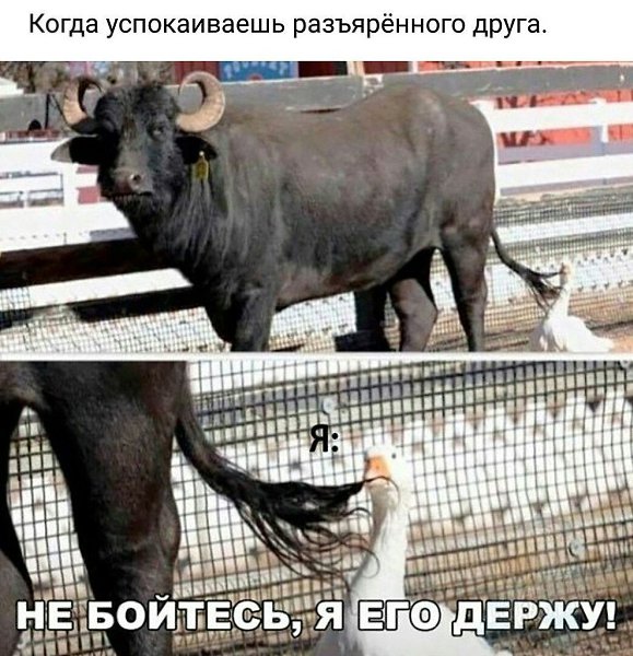 ��� �������� �������� - 19 ������ 2023 � 08:34