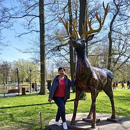 ����, �����������, 69 ���